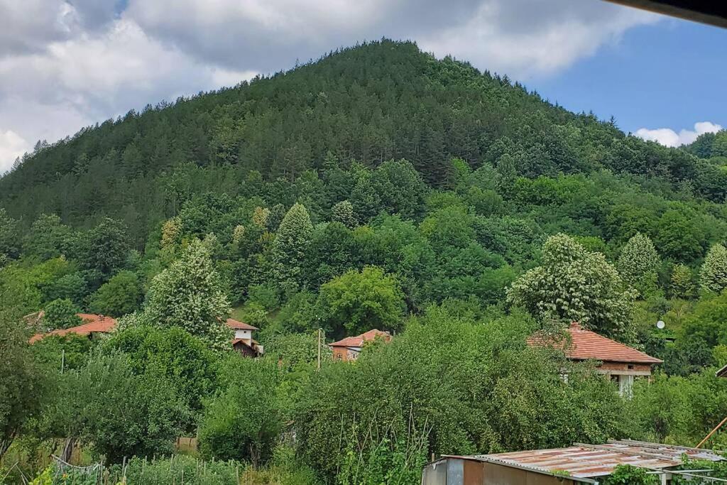 Двете Къщи В Планината Villa Beli Osum Bagian luar foto